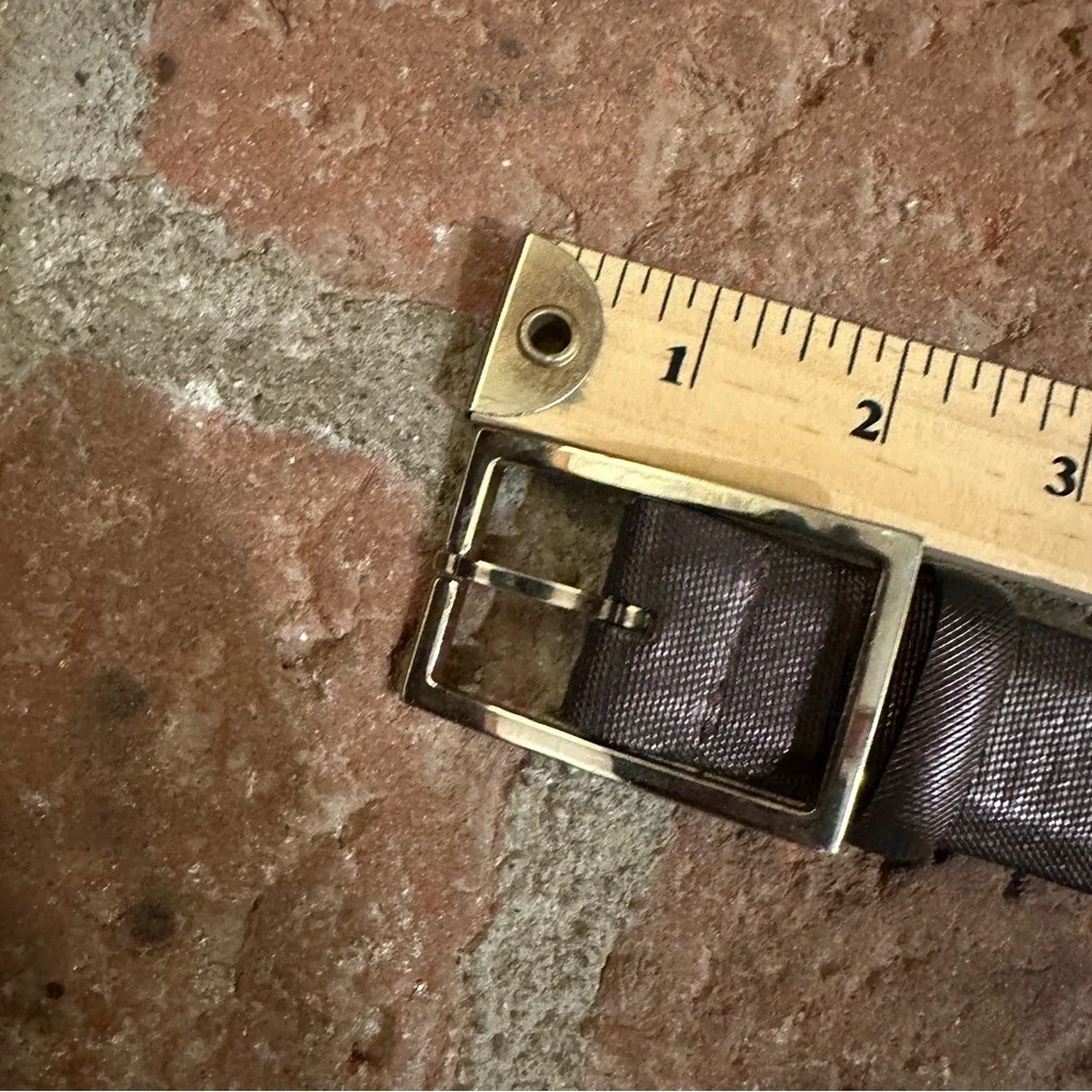 Women's Frank & Daniel Vintage Leather Belt brown shimmery iridescent size 75/30